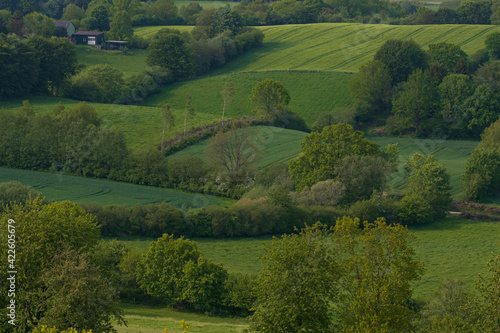 Green fields with hills and hedgerows in spring, agriculture, farming