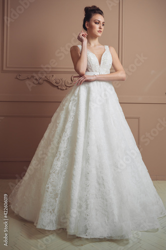 Beautiful brunette bride in a fashion wedding dress,princess style. Beauty face.Studio shot.Beautiful bride portrait