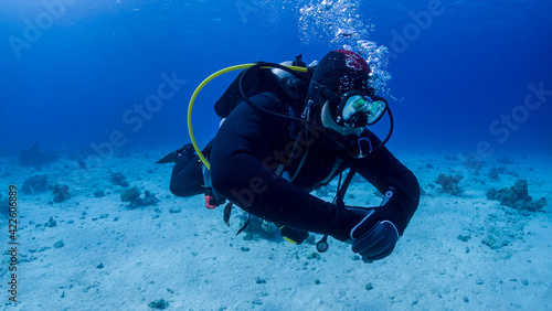 Diving on the reefs of the Red Sea