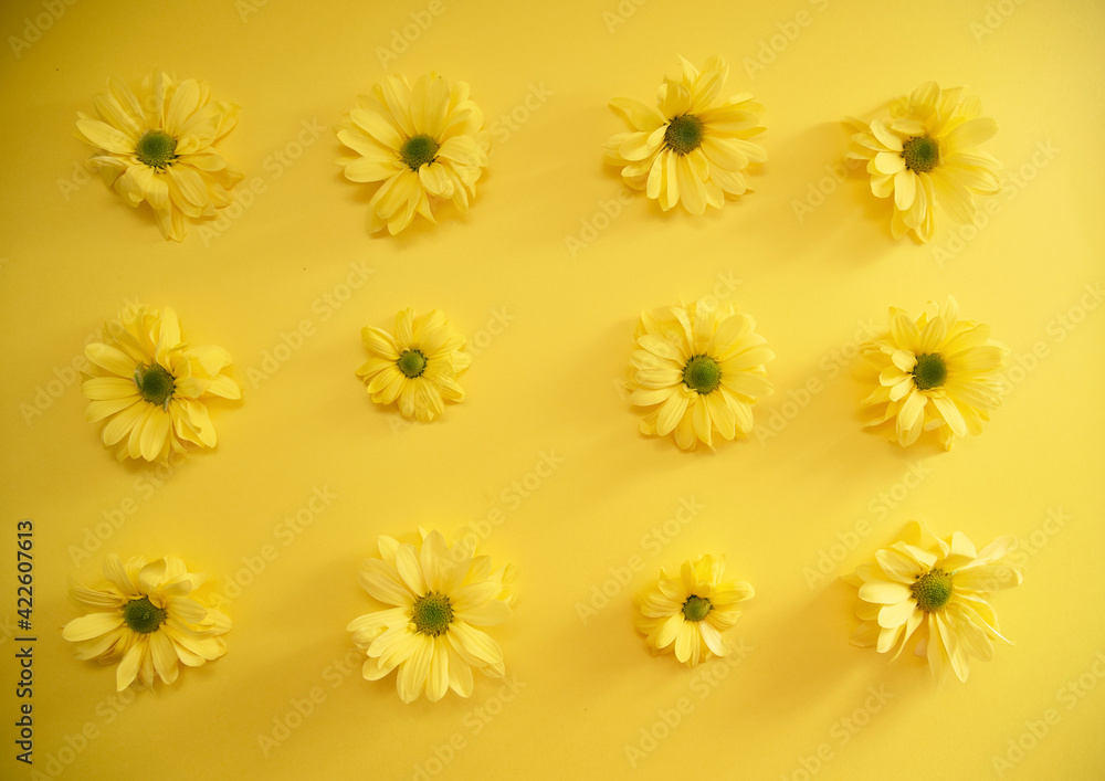 yellow flowers background yellow flowers background