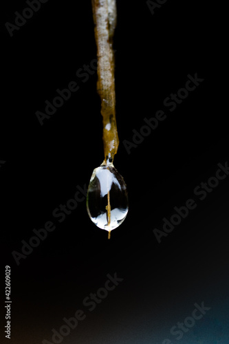 Wassertropfen 