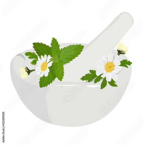 Mortar with herbs vector stock illustration. Meadow flowers chamomile, mint, lemon balm, daisy close-up. Aromatherapy, spa, home cosmetics. Isolated on a white background.
