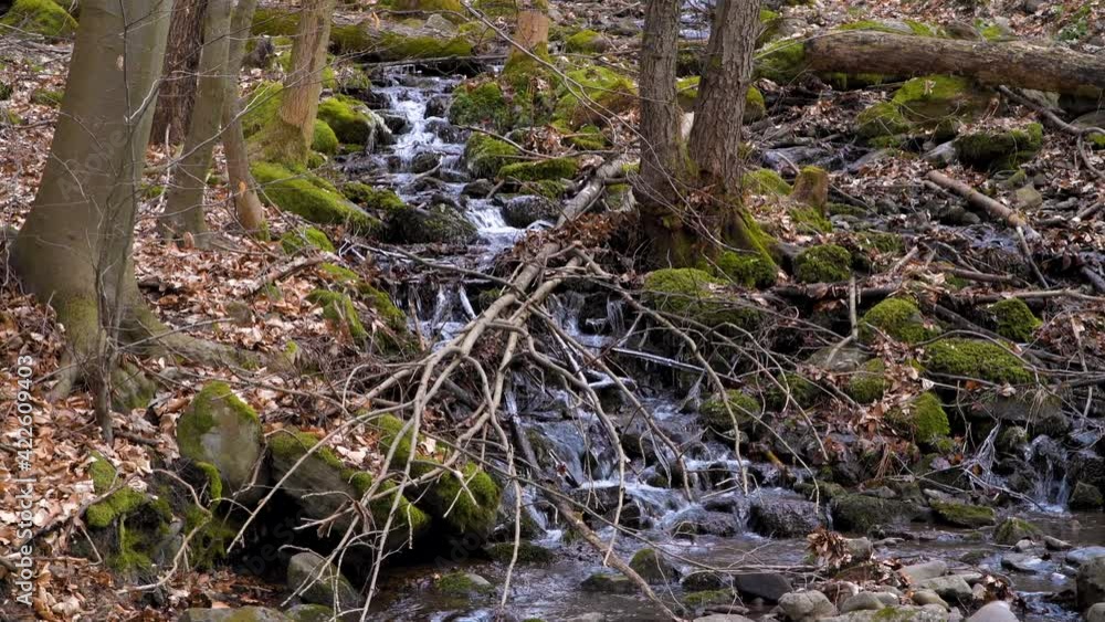Stream Of Water. Peaceful Forest River. Stream Of Water. Peaceful Forest River.