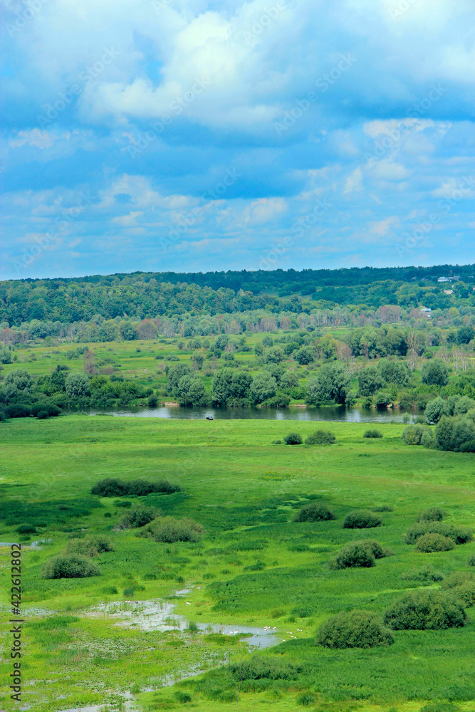 Natural landscape from bird's-eye view. Greenery growing along river