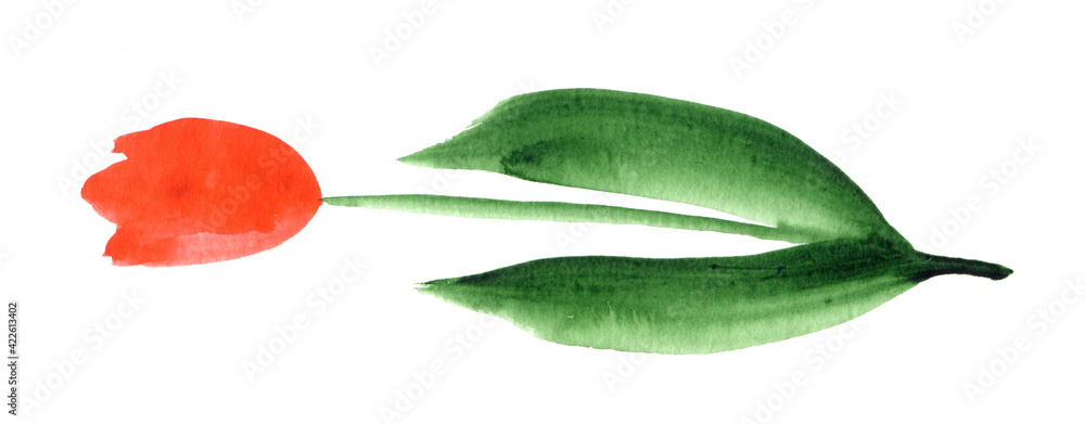 Watercolor image of a red tulip, on a green stalk. The illustration is isolated, on a white background. Watercolor image of a red tulip, on a green stalk. The illustration is isolated, on a white background.