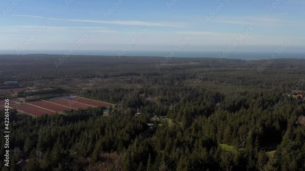 Panoramic View Of Forest And Cranberry Bogs In Port Orford, Oregon, drone shot Panoramic View Of Forest And Cranberry Bogs In Port Orford, Oregon, drone shot