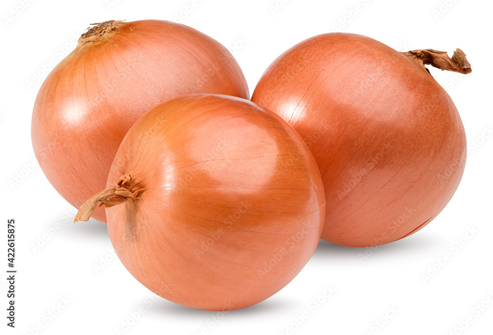 onion isolated on white background. full depth of field. clipping path