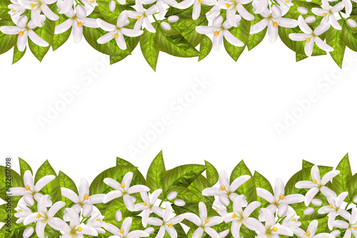 Labels of Cosmetic Skin Care Product design.Vector illustration.Realistic orange flowering branch, leaves, neroli flowers. photo