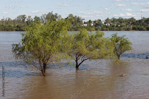 Flooded road that prevents people to cross the town on an argentinian city