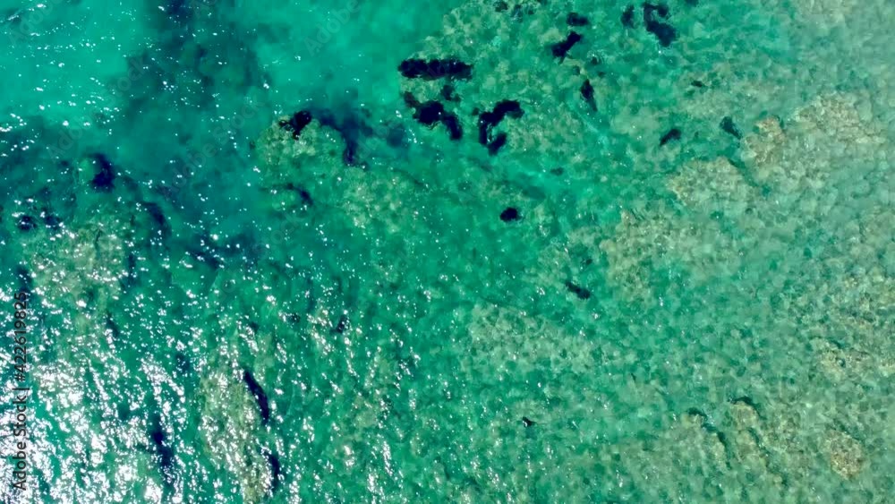 Aerial view of Alghero southern coast with turquoise water and rocks. Sardinia, Italy Aerial view of Alghero southern coast with turquoise water and rocks. Sardinia, Italy