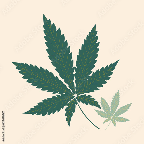 The marijuana leaf is painted in trending colors. Pattern of a narcotic plant for applications, printing on dishes, clothes, textiles. Vector graphics.