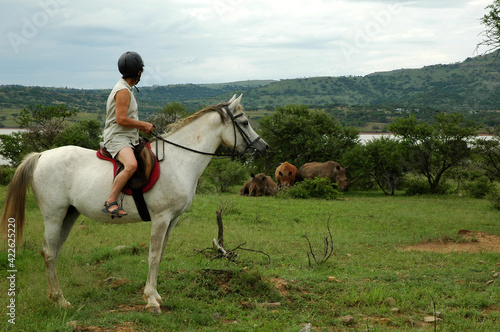 Horseback rider looking at White Rhino © Matthew