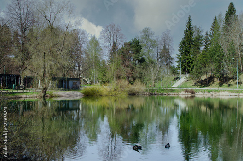 reflection of trees in the pond