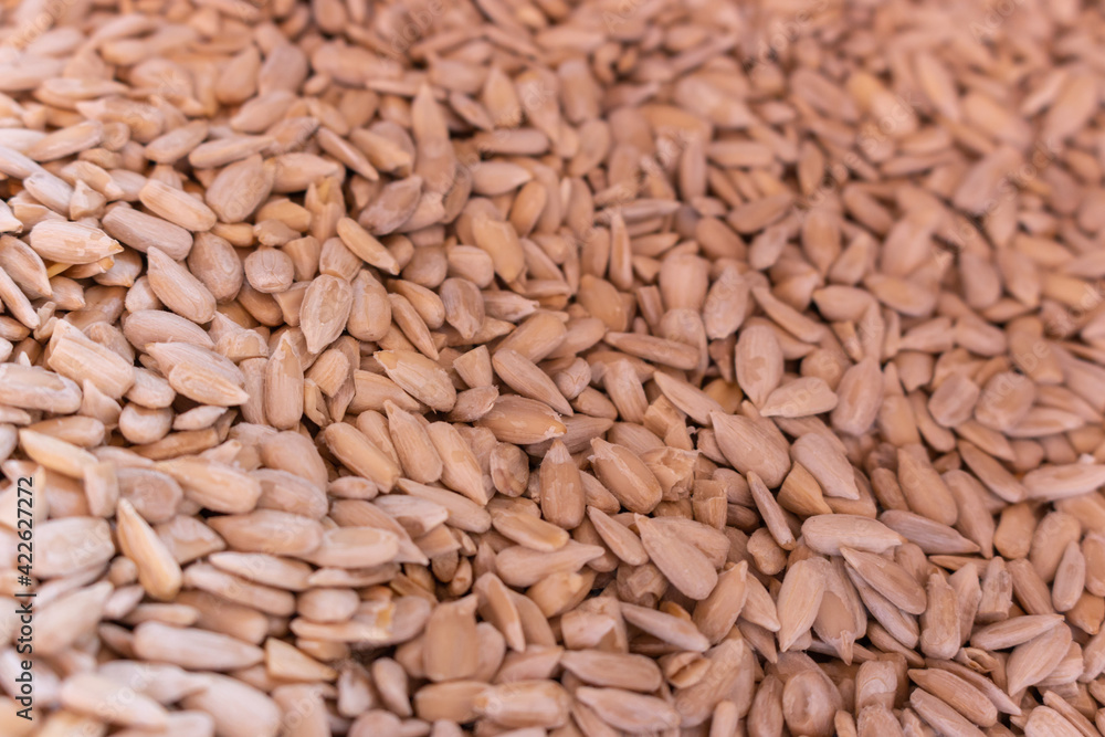 Peeled sunflower seeds. Raw sunflower sseds close up. Vegeterian nutrition. Energy snack. Organic food. Healthy food. Agriculture concept. Diet ingredient. Peeled sunflower seeds. Raw sunflower sseds close up. Vegeterian nutrition. Energy snack. Organic food. Healthy food. Agriculture concept. Diet ingredient.