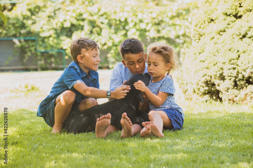 © oksix - The little children take care of their favorite Labrador puppy