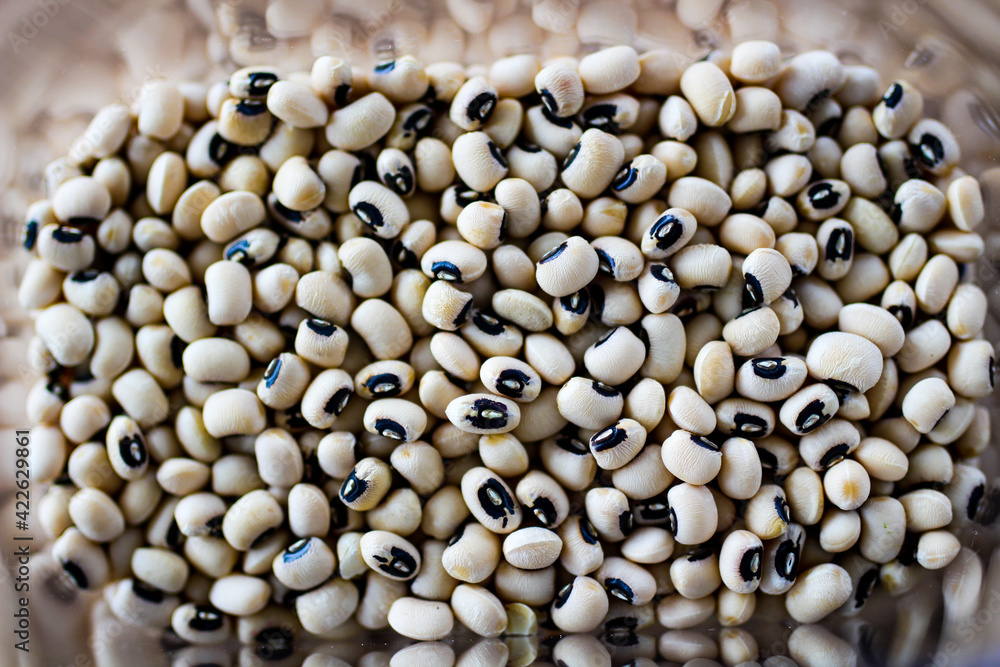 Close-up view dried white beans. White beans texture. Food background.