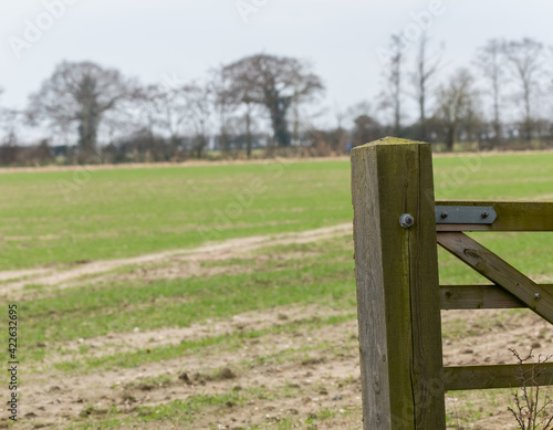 фотографія close up of a wooden gate post covering the entrance to an arable field in rural Norfolk