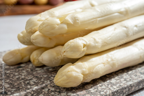 New harvest of high quality Dutch white asparagus washed, uncooked