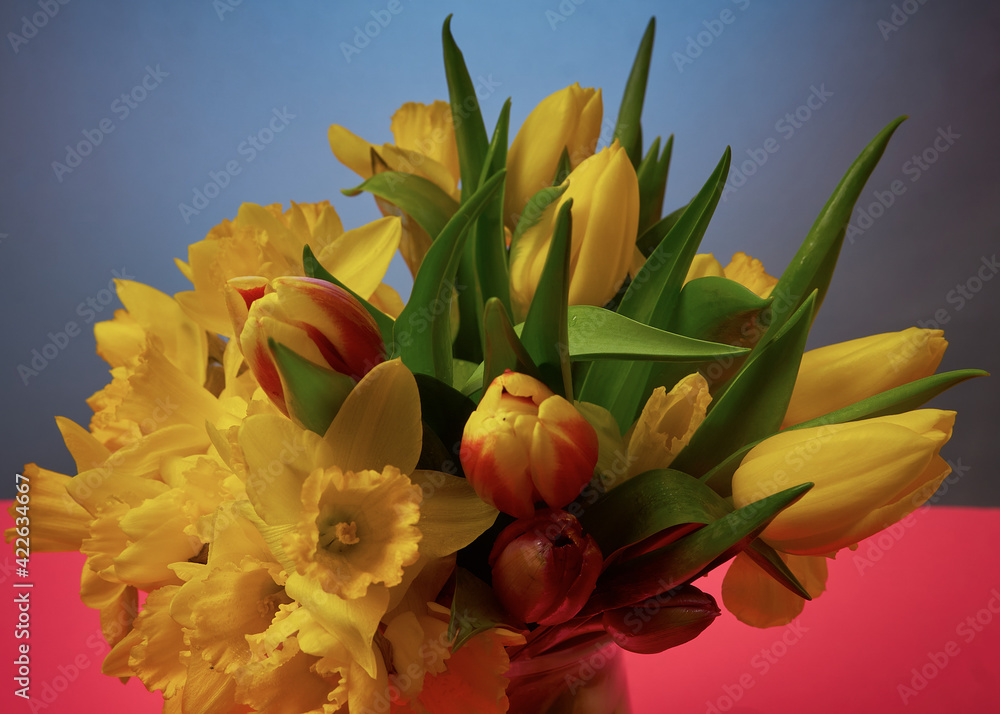 Blumenstrauß, Narzisse, Tulpen