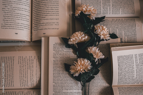 lovely, lonely and melancolic place. flowers and books. photo