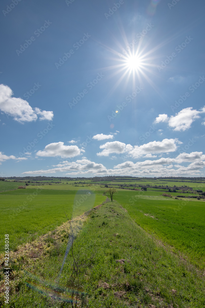 landscape of green fields with blue sky and clouds