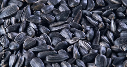 Wallpaper Mural The sunflower seeds on a plate close-up. The sunflower seeds after harvest. Pile of Dried Sunflower Unpeeled Seeds, a Healthy Source of Vitamins in Vegan Food. Torontodigital.ca