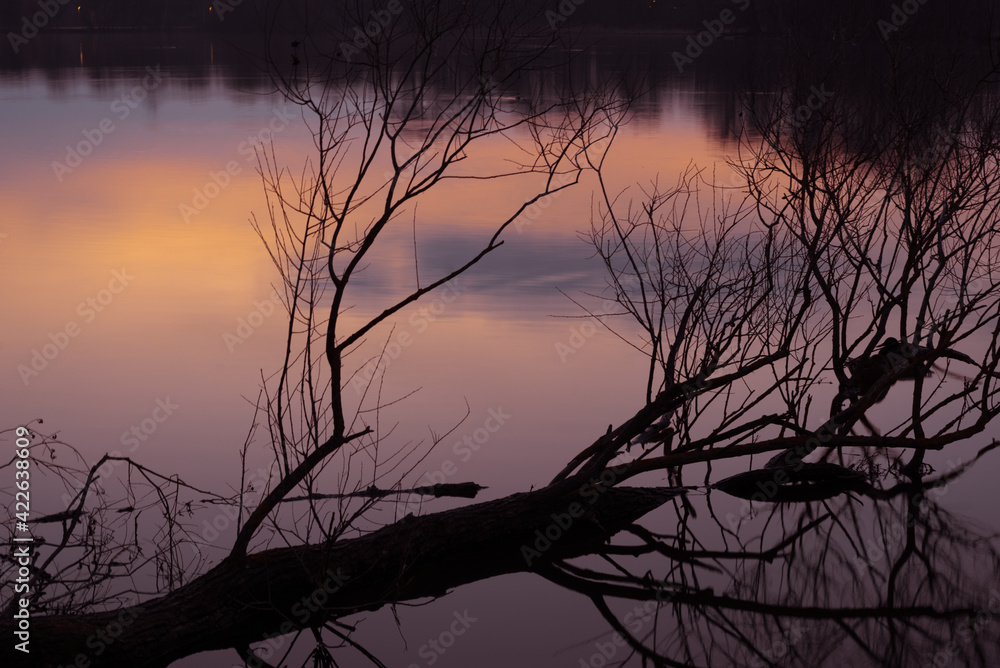 Lake in the sunset light Lake in the sunset light