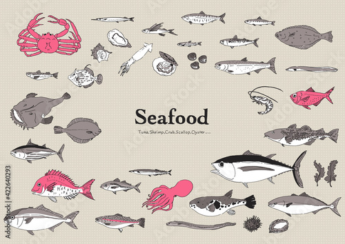 魚のイラストセット-手描き