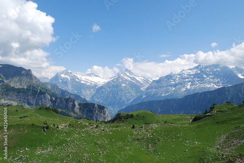 Die Bergwelt der Schweiz