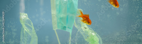 Fotografi cellophane rubbish and medical mask near goldfishes in water, ecology concept, b
