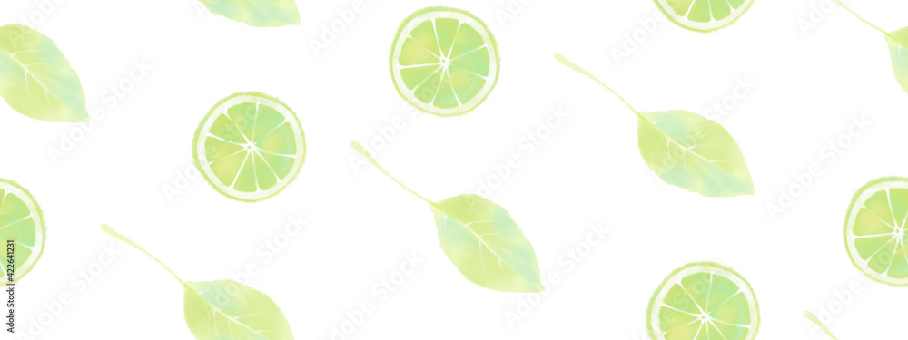 Seamless pattern of hand drawn watercolor citrus fruit and leaves set, endless illustration of green lime slices. Aquarelle mint sketch of summer food collection, isolated on white background