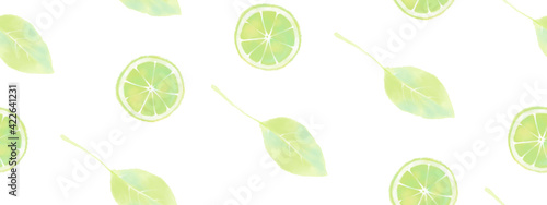 Seamless pattern of hand drawn watercolor citrus fruit and leaves set, endless illustration of green lime slices. Aquarelle mint sketch of summer food collection, isolated on white background
