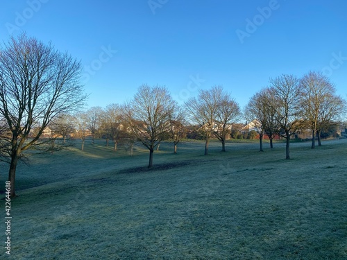Sunrise with houses and trees in a frosty winter day, sunny morning with trees in English town, long shadowns, suburbia.