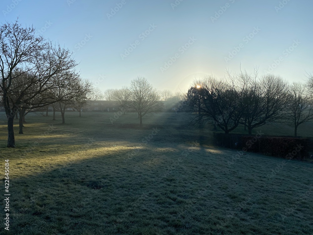Fototapeta premium Sunset in a foggy day orange tinge fog. Beautiful misty sunrise landscape. Foggy morning with trees in English town
