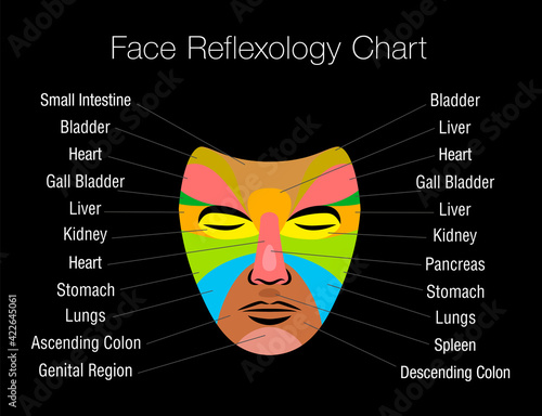 Face reflexology chart with colored areas and names of corresponding internal organs. Colorful zone massage mask on black background.
