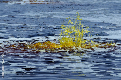 Paysages de Dallol, désert de Danakil, Éthiopie photo