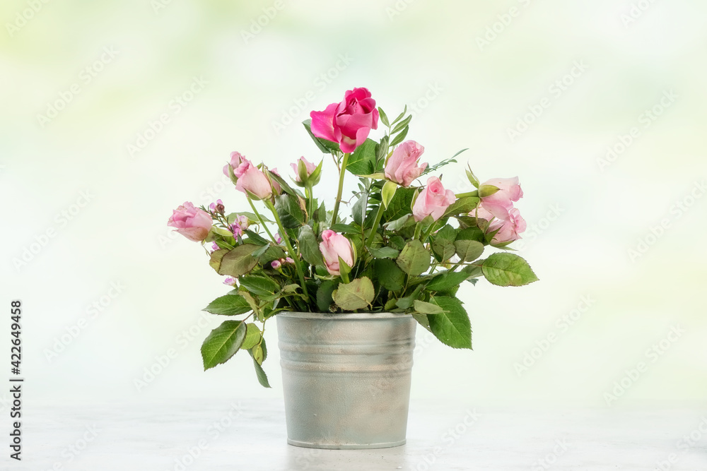 Pink tulips in a bucket on a wooden table