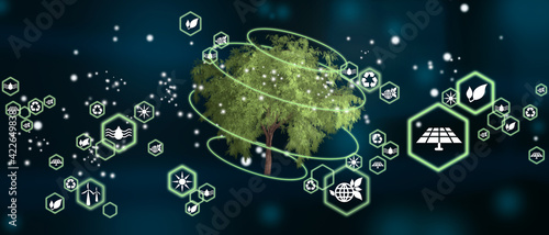 Tree as concept of renewable energies. Love solar energy in nature. Biodiversity sustainability