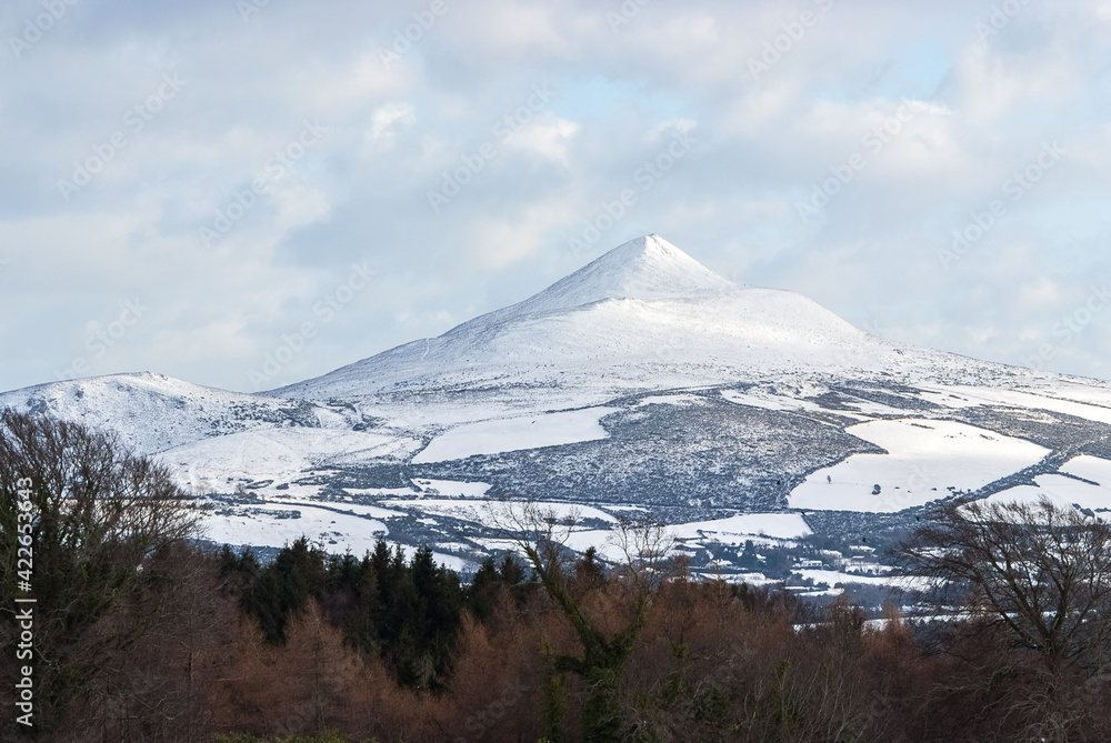 Fototapeta premium Great Sugar Loaf in winter, Wicklow Ireland