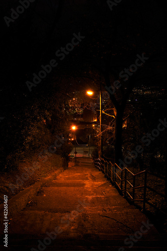 Fototapeta Naklejka Na Ścianę i Meble -  Path in the park at night
