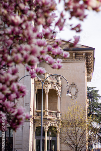 old town italian pink magnolia
