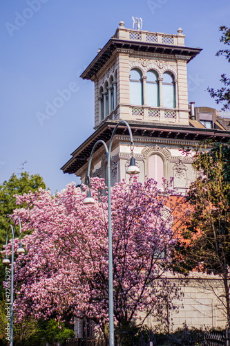 old town italian pink magnolia