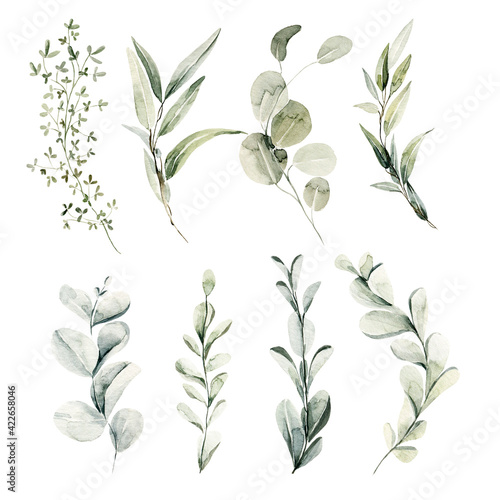 Watercolor floral set. Hand painted illustration of forest herbs, greenery. Green leaves isolated on white background. Botanical illustration for design, print or background