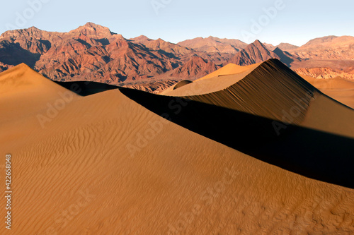 Mesquite Dunes Landscape