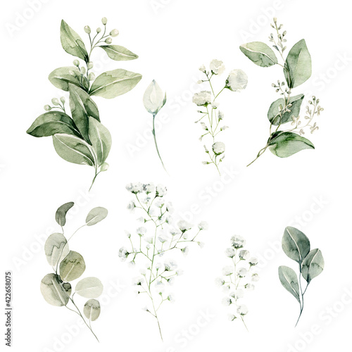 Watercolor floral set. Hand painted illustration of forest herbs, greenery, baby breath. Green leaves, gypsophila isolated on white background. Botanical illustration for design, print photo