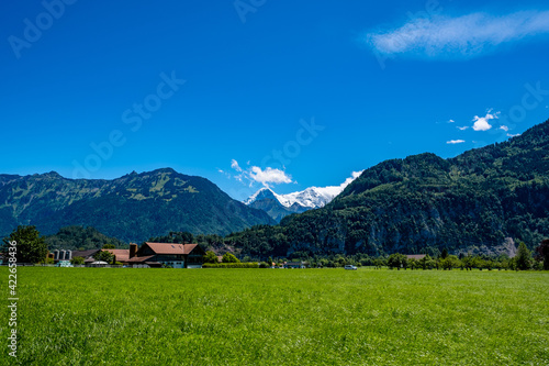 Meadow landscape with a view of a farm and mountains