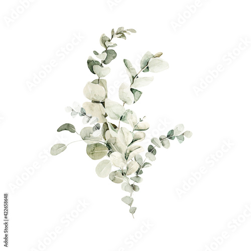 Watercolor floral composition. Hand painted forest leaves of eucalyptus. Green bouquet isolated on white background. Botanical illustration for design, print