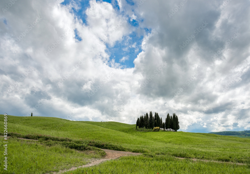Obraz premium View of the scenic Tuscan countryside