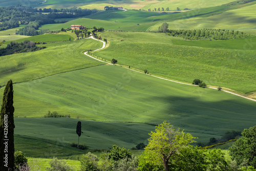 Countryside of Val d'Orcia Tuscany