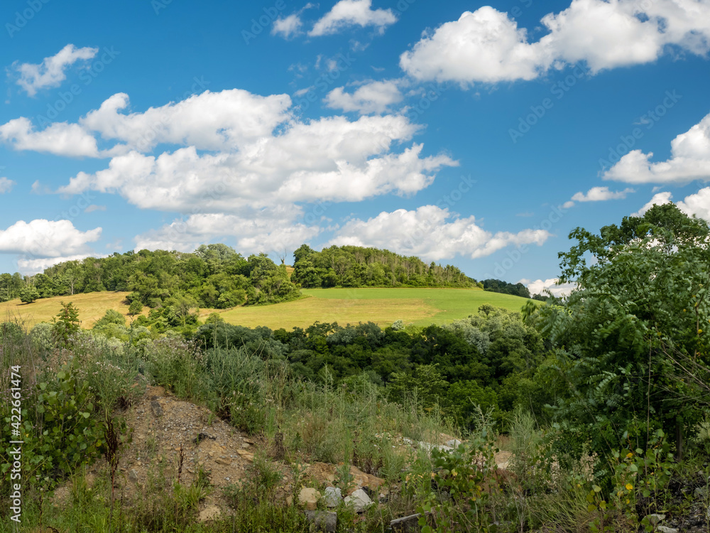 Scenic landscape photo taken in Washington County in Southwest Pennsylvania in the summer, with a rolling hill full of green grass and trees and a bright blue sky and white clouds in the background.